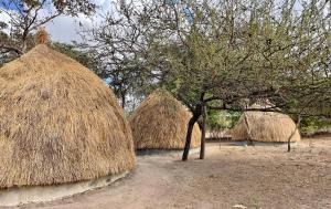 a group of hay huts in a field with trees at Akamba Traditional Grass Hut in Emali +25 photos
