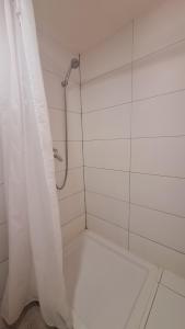 a shower with a shower curtain in a bathroom at Basel city in Basel