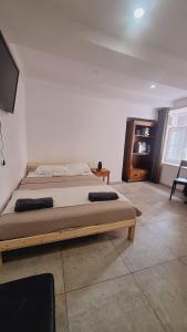 a bedroom with two beds and a flat screen tv at Basel city in Basel