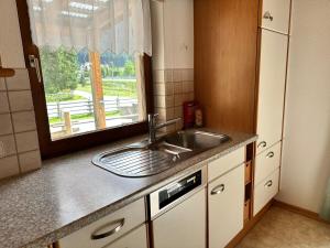 a kitchen with a sink and a window at apart-gerlos in Gerlos