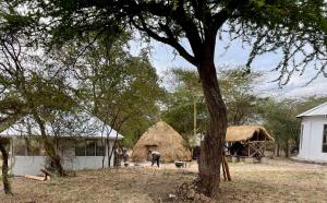 a man standing in a field next to a hut at Akamba Traditional Grass Hut in Emali
