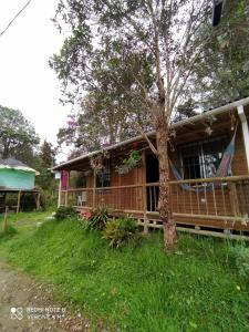 a house with a tree in front of it at La Cabaña de Chia in Guarne