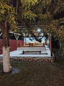 a row of benches in a park with a tree at 40 Rays Yurts in Bosteri +23 photos