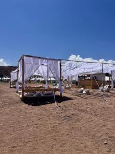 a plane parked in a field in the dirt at Almani yurt camp in Tong