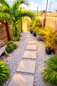 a garden with palm trees and a walkway at Le SeaZen Lodge in Sainte-Anne