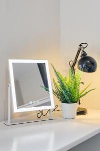 a mirror and a potted plant on a desk at Cosy Two Bed House (16BLR) in Leeds