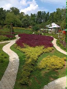 a garden with flowers in the shape of a butterfly at Ella Garden Resort in Mag-ag