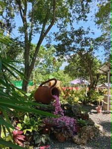 a garden with flowers and a watering can on the ground at Ella Garden Resort in Mag-ag +1 photo