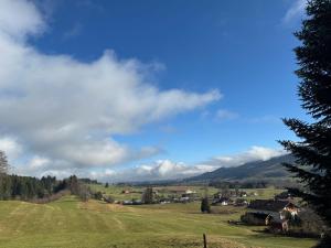 Eine grüne Wiese mit Häusern und Bergen im Hintergrund in der Unterkunft Panoramapause in Wertach + 3 Fotos
