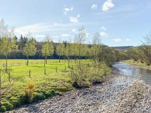 a river flows through a grassy field next to a creek at Pinclanty Cottage in Pinmore