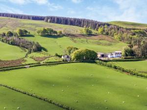 an aerial view of a green field with sheep at Pinclanty Cottage in Pinmore