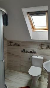 a bathroom with a toilet and a sink and a skylight at Nagy Ildikó Vendégház in Lăzarea