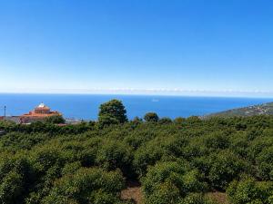 a house on a hill with the ocean in the background at Atlantic View Loft - Spa & Sunset in La Orotava