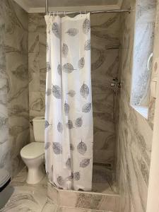 ein Badezimmer mit Duschvorhang und Toilette in der Unterkunft Язмін in Berehowe