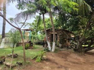 a small house in a yard with palm trees at Urca do Tubarão in Touros