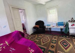 a living room with a couch and a rug at У Катерини in Dvozhets