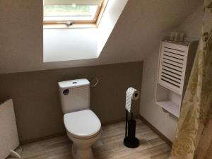 ein Badezimmer mit Toilette und Dachfenster in der Unterkunft Folwark Miodobytek in Łomnica + 14 Fotos