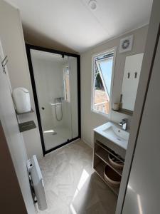 a bathroom with a sink and a mirror at Bahia 2 in Le Faulq