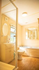 a bathroom with a toilet and a sink and a mirror at The Willows at Kingsmead Camping in West Buckland