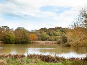 a view of a river with trees in the background at Hernmargh Skiber in Marhamchurch +15 photos