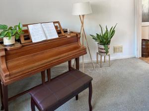 a piano with a bench next to a lamp and a plant at Views Wood in Uckfield