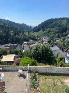 Blick auf eine Stadt vom Dach eines Hauses in der Unterkunft Wilhelmsthal in Wilhelmsthal