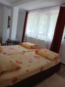 two twin beds in a bedroom with a window at Gutza Family in Cumpăna