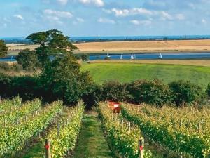 a view of a vineyard with trees and a field at Mistletoe No3 -Uk49252 in Althorne