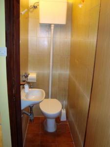 a small bathroom with a toilet and a sink at Apartman Marija Krok in Baška