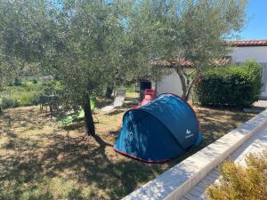 a blue tent sitting on the grass next to a tree at Residence Villa Fiore Portorož in Portorož +31 photos