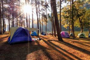 a group of tents in a field with the sun shining through trees at Nurral - TENT in Fertilia
