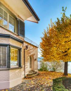 a house with a tree in front of it at Lakefront Villa in Stäfa