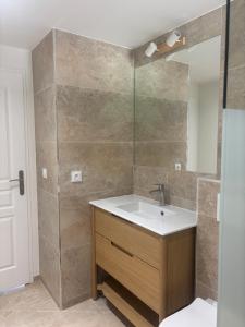 a bathroom with a sink and a shower at Maison récente dans la nature in Roquebrune-sur-Argens