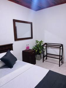a bedroom with a bed with a mirror and a plant at Merlot in Deniyaya