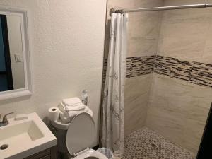 a bathroom with a shower and a toilet and a sink at 2Bed 2Bath Lake Front Jewel in Lake Mary