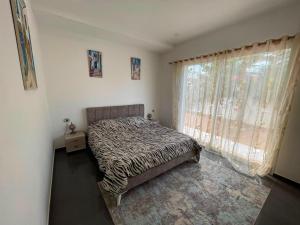 a bedroom with a bed and a large window at Dar ZYED in Houmt Souk +47 photos