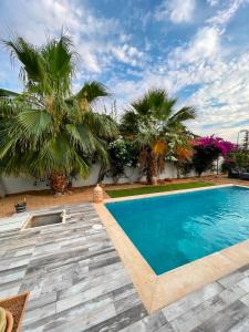 a swimming pool with palm trees in front of a house at Dar ZYED in Houmt Souk