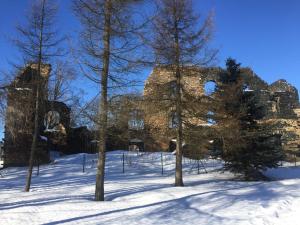 un grupo de árboles en la nieve frente a un edificio en Apartmán Kovářská u Klínovce en Kovářská