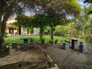 a group of picnic tables under a tree in a yard at Wadula Resort in Nochchiyagama