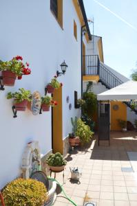 Photo de la galerie de l'établissement Apartamentos Las Juanas, à El Bosque