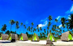 a group of tents on a beach with palm trees at Isla Malaya Tours Campsite in Mantangule Island