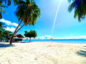a sandy beach with palm trees and the ocean at Isla Malaya Tours Campsite in Mantangule Island