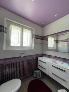 a bathroom with a toilet and a sink and two windows at Gîte de la lionnaire in Orches +17 photos