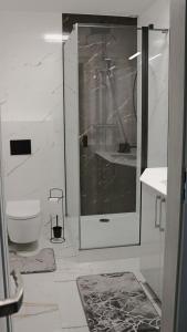 a white bathroom with a shower and a toilet at Szept Jeziora in Czechowizna +4 photos