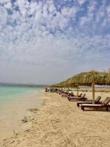 a row of chairs and umbrellas on a beach at Adamora Stay in Marsa Alam City