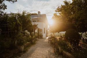a pathway leading to a house with the sun shining at Agriturismo Campoletizia in Miglianico +83 photos