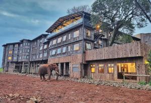 an elephant standing in front of a large building at The Treetops Lodge in Nyeri