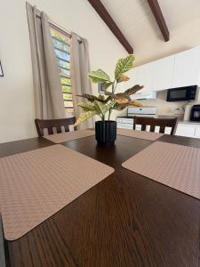 a dining room table with a potted plant on it at Villadeco Escape, Gated Cottage with Generator in West End