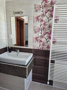 a bathroom with a sink and a mirror at Apartmán Ružiná in Ružiná +4 photos