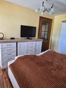 a bedroom with a bed and a flat screen tv at Apartmán Ružiná in Ružiná
